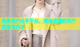 海角账户分享平台，安全便捷的账户管理与共享