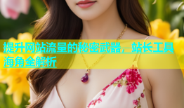 提升网站流量的秘密武器，站长工具海角全解析