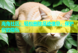 海角社区：轻松删除足迹信息，保护你的隐私