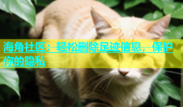 海角社区：轻松删除足迹信息，保护你的隐私