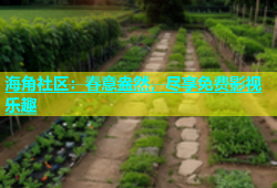 海角社区：春意盎然，尽享免费影视乐趣