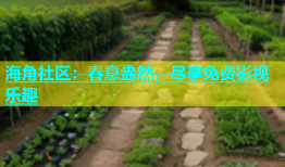 海角社区：春意盎然，尽享免费影视乐趣