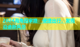 2024海角回家路：便捷出行，发现沿途新风景