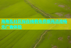 海角乱社区操在线看免费版高清流畅无广告体验