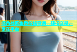 海角社区金币价格查询，轻松交易，尽在平台