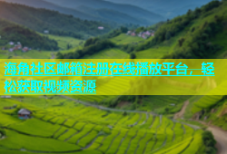 海角社区邮箱注册在线播放平台，轻松获取视频资源