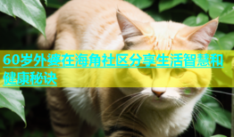 60岁外婆在海角社区分享生活智慧和健康秘诀