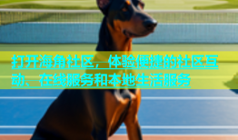 打开海角社区，体验便捷的社区互动、在线服务和本地生活服务
