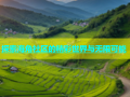 探索海角社区的精彩世界与无限可能