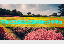 海角社区妈妈生日蛋糕制作分享平台