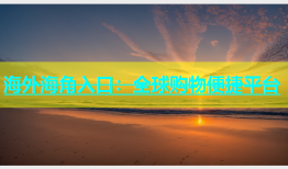海外海角入口：全球购物便捷平台