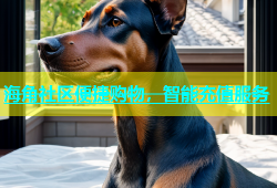 海角社区便捷购物，智能充值服务
