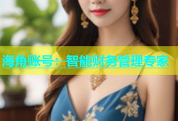 海角账号：智能财务管理专家