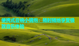 便携式音响小钢炮：随时随地享受极致音乐体验