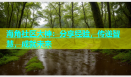 海角社区大神：分享经验，传递智慧，成就未来