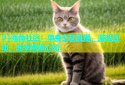 91海角社区：单身交友直播，游戏互动，速来邂逅心动.