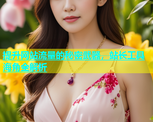 提升网站流量的秘密武器，站长工具海角全解析