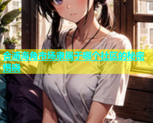 合浦海角市场隶属于哪个社区的秘密揭晓