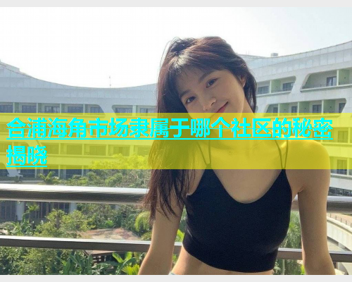 合浦海角市场隶属于哪个社区的秘密揭晓