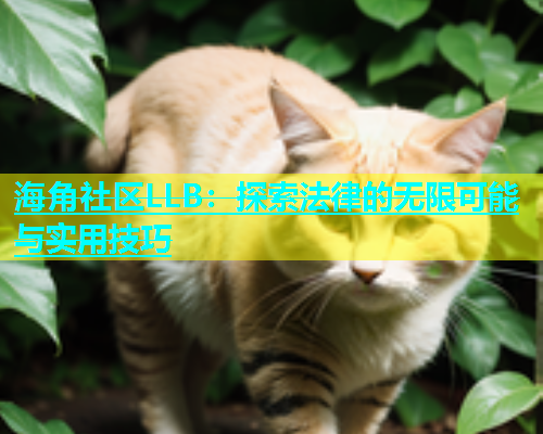 海角社区LLB：探索法律的无限可能与实用技巧