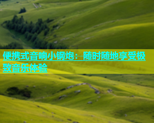 便携式音响小钢炮：随时随地享受极致音乐体验