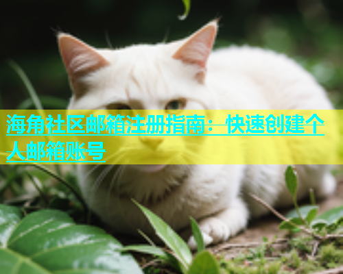 海角社区邮箱注册指南：快速创建个人邮箱账号