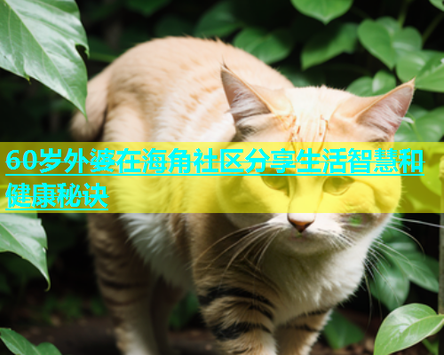 60岁外婆在海角社区分享生活智慧和健康秘诀