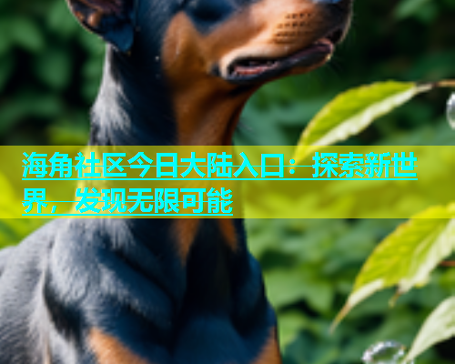 海角社区今日大陆入口：探索新世界，发现无限可能