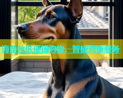 海角社区便捷购物，智能充值服务