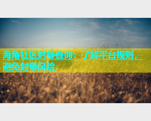 海角社区封号查询：了解平台规则，避免封号风险